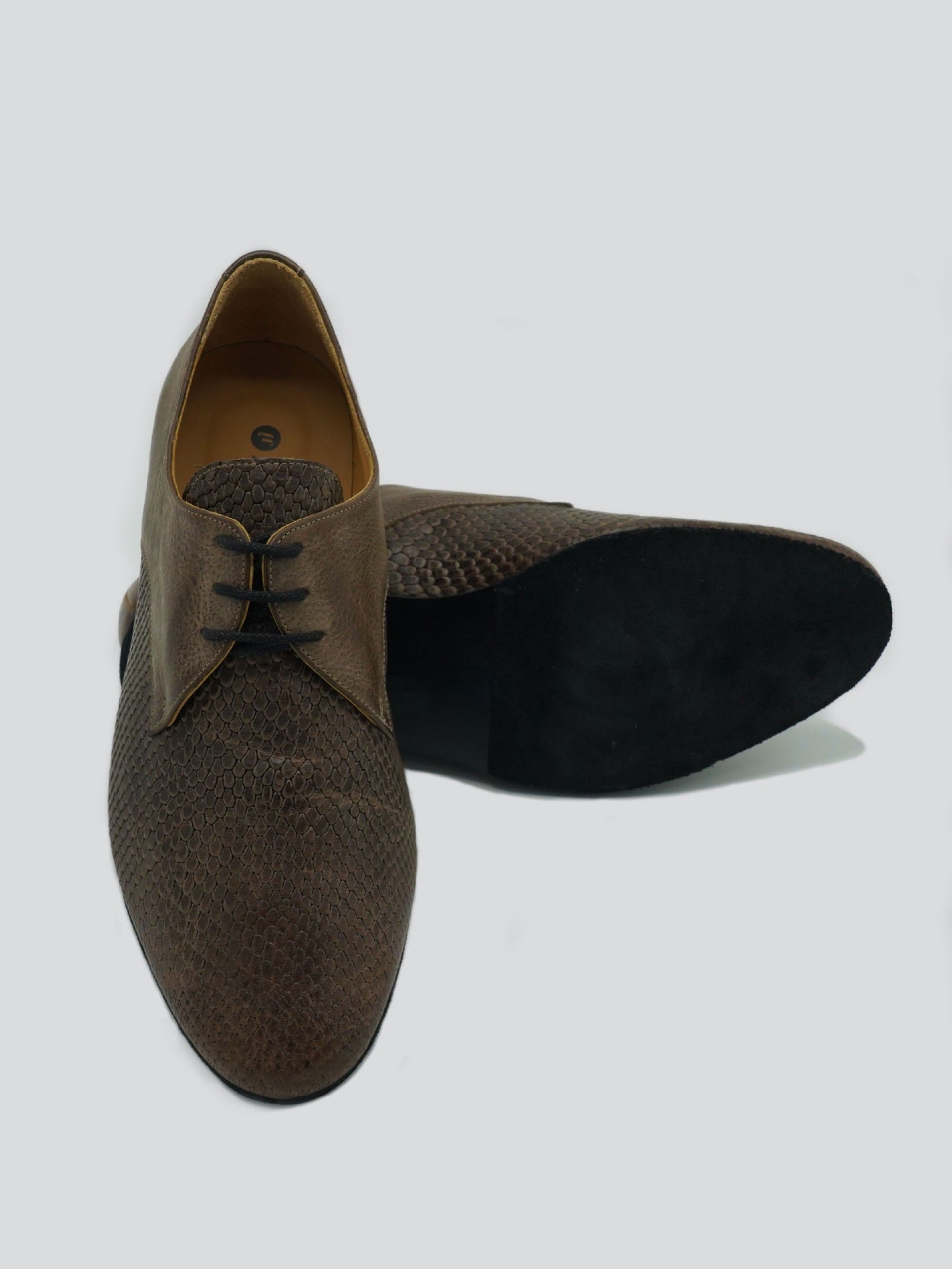 Apolo Marrón Oscuro